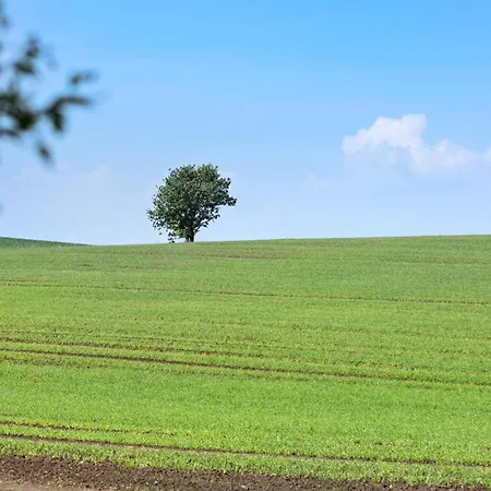 Lovely In Sydals With Sauna *